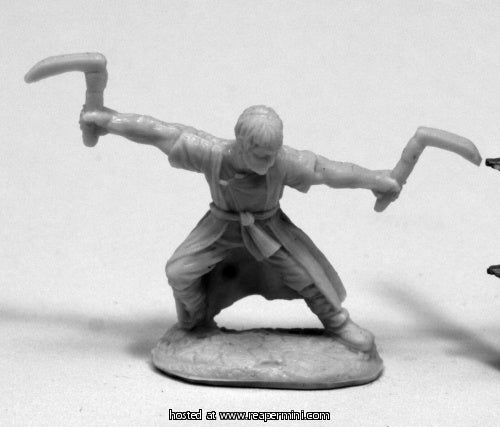 Reaper Miniatures REM77421 25mm Scale Jade Tiger, Monk - James Van