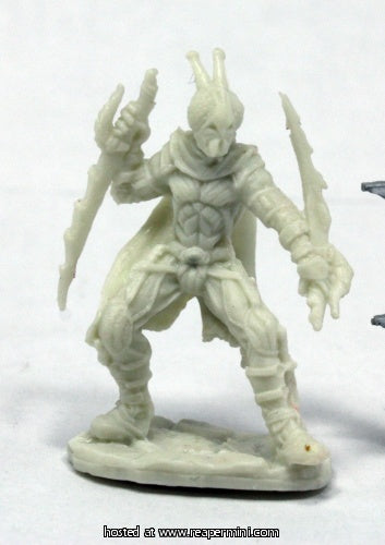 Reaper Miniatures REM89042 25mm Scale Red Mantis Assassin, Patrick